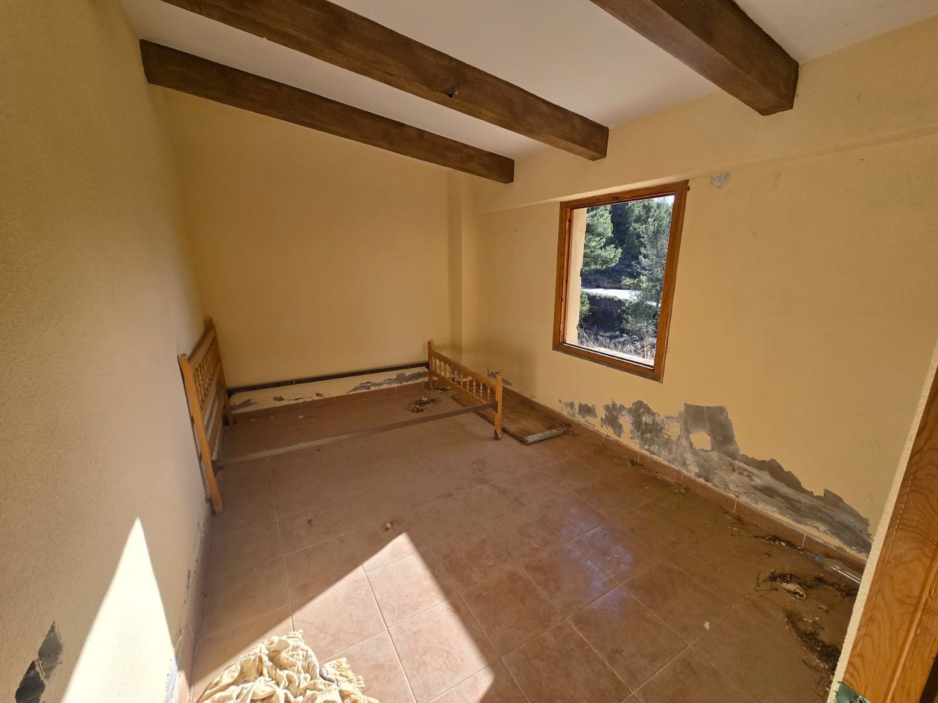 w_whatsapp-image-2026-01-23-at-16.18.53-2-