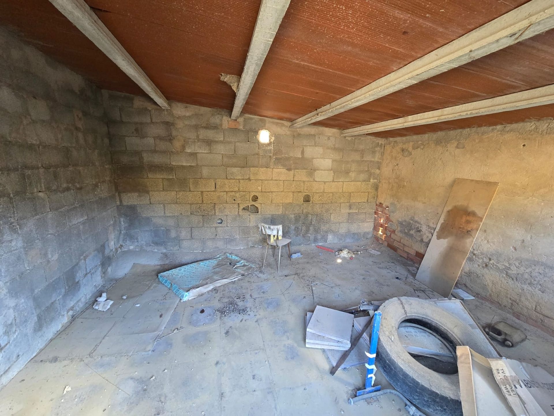 w_whatsapp-image-2026-01-23-at-16.18.53-3-