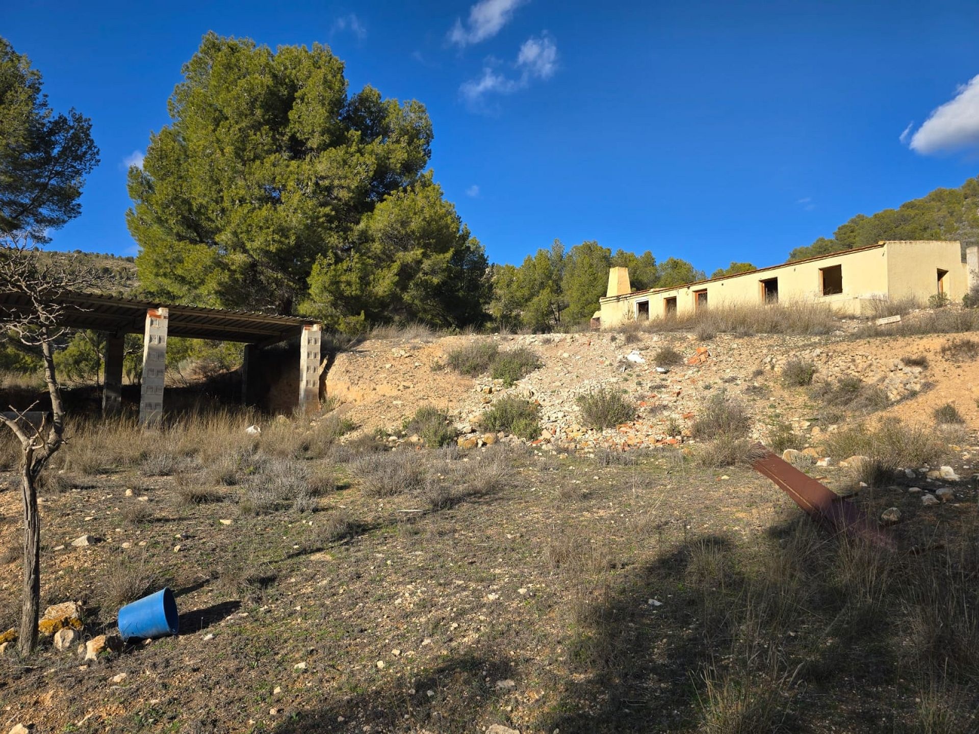 w_whatsapp-image-2026-01-23-at-16.18.53-4-