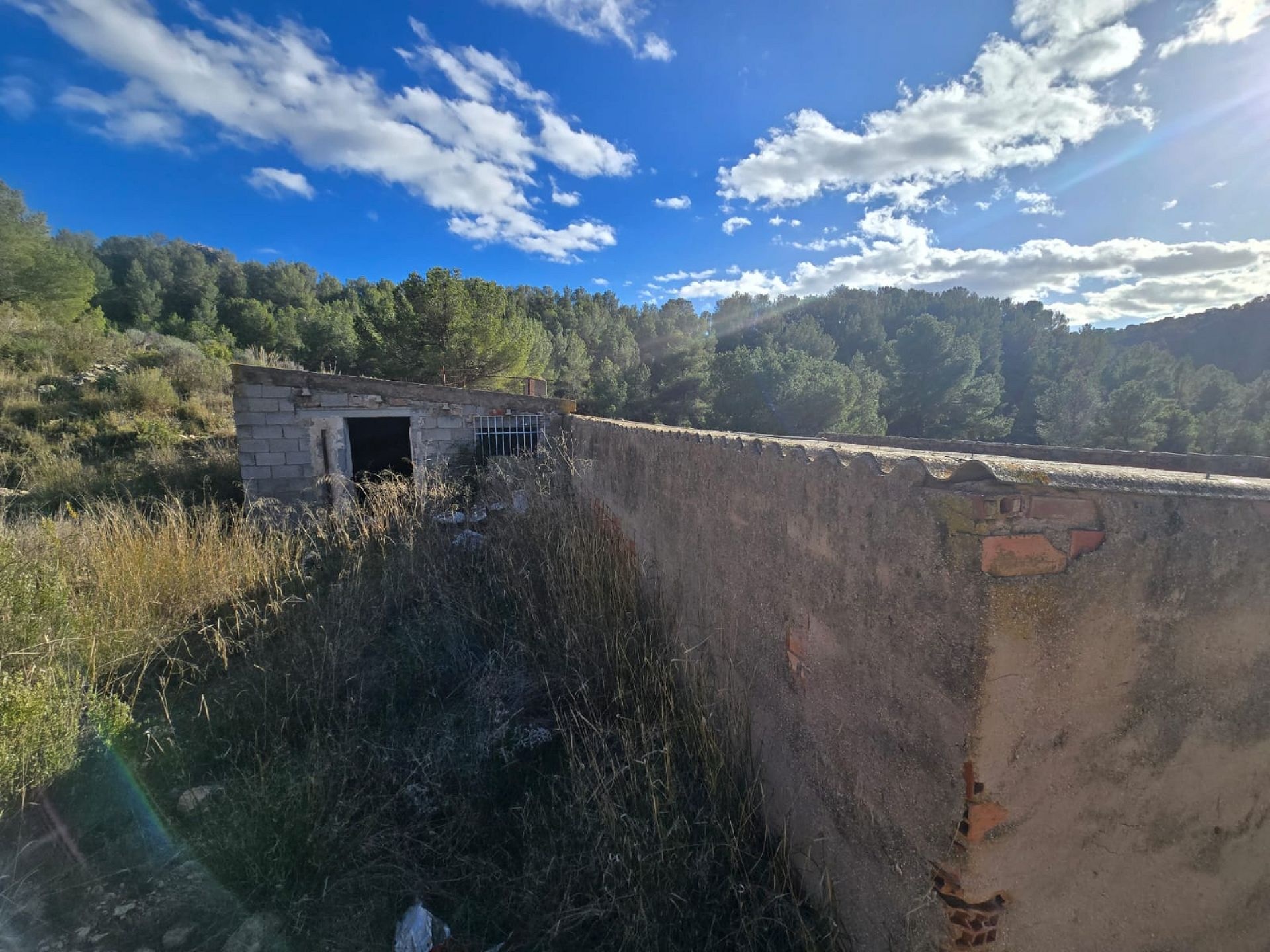 w_whatsapp-image-2026-01-23-at-16.18.54-1-