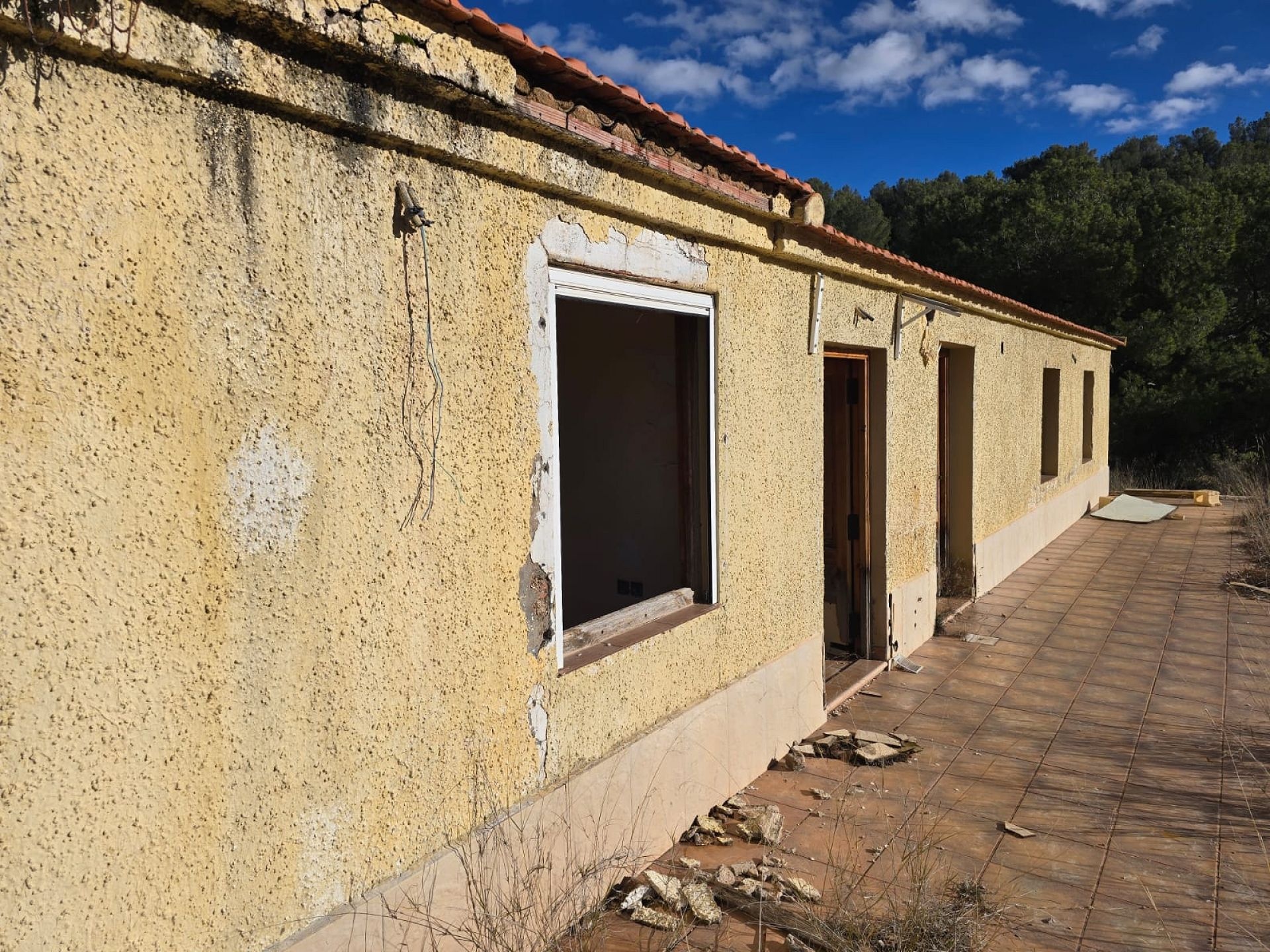 w_whatsapp-image-2026-01-23-at-16.18.54-2-