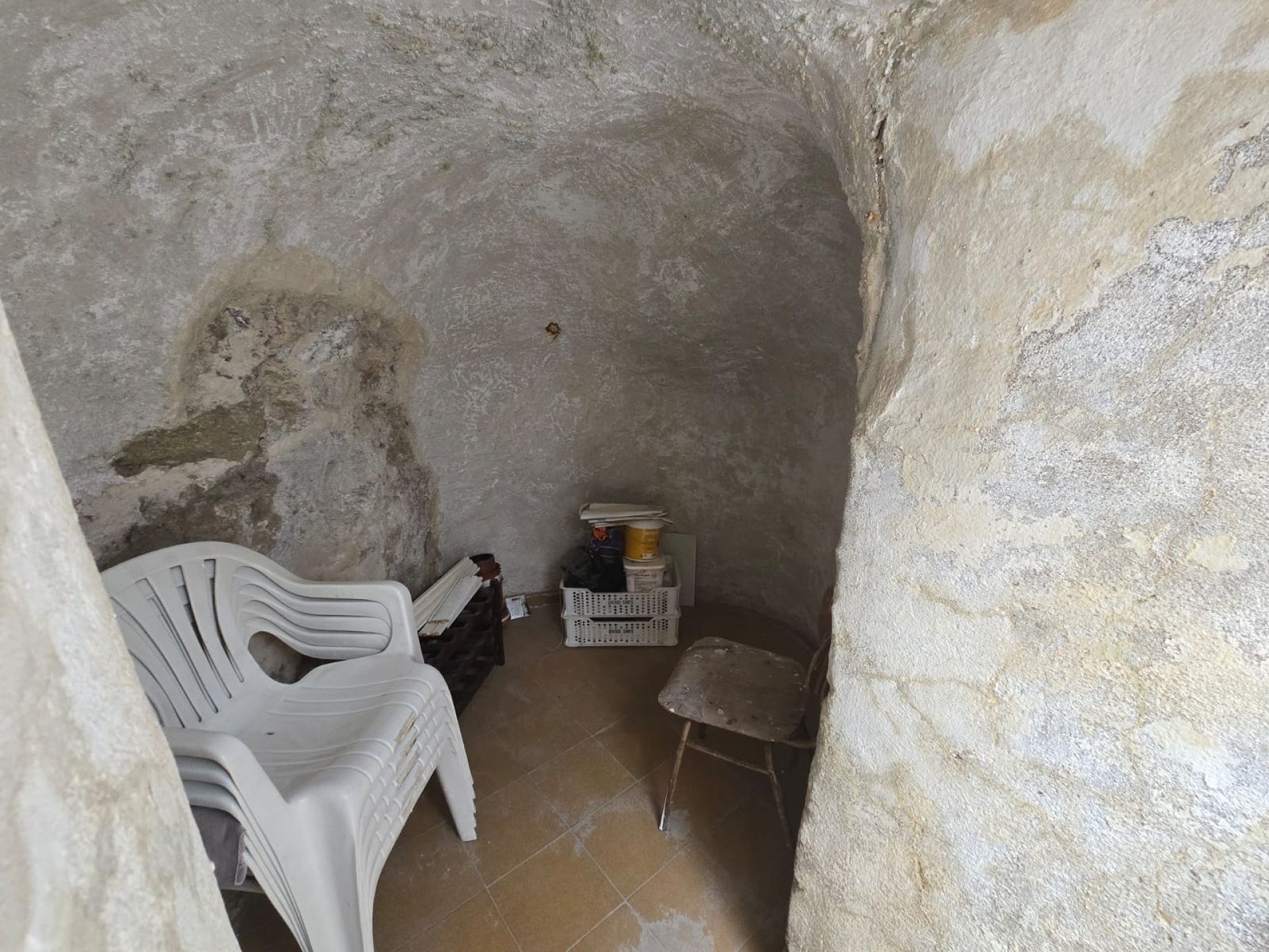 w_whatsapp-image-2026-02-04-at-13.15.53-4-