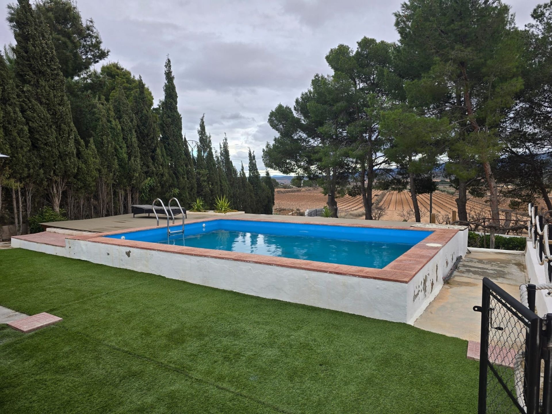 w_whatsapp-image-2026-02-09-at-11.23.08-3-