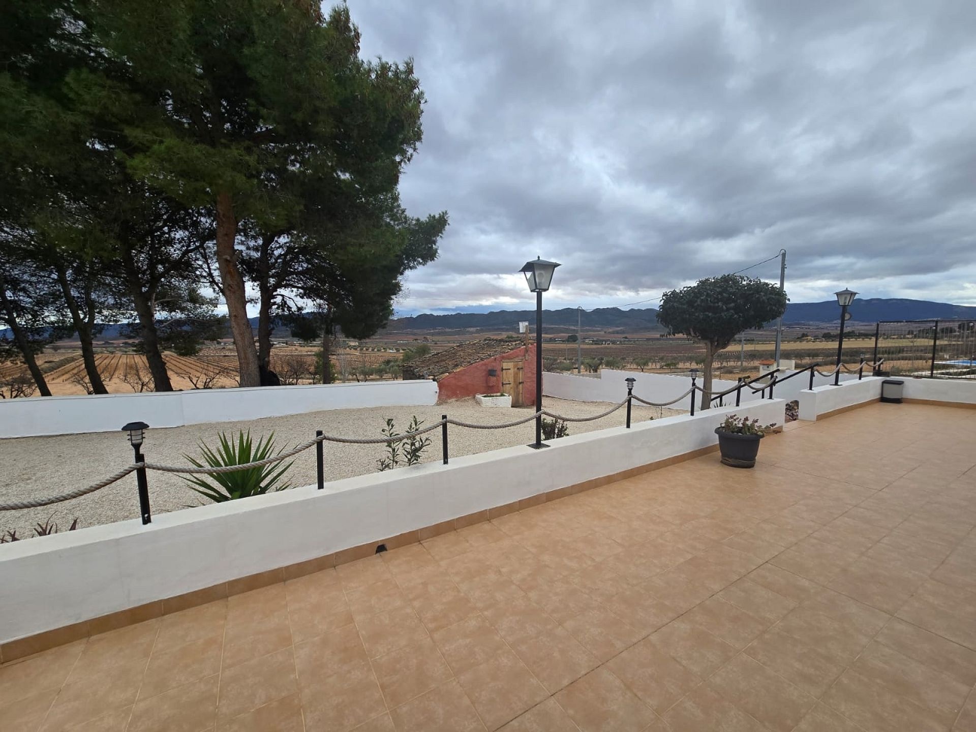 w_whatsapp-image-2026-02-09-at-11.23.08