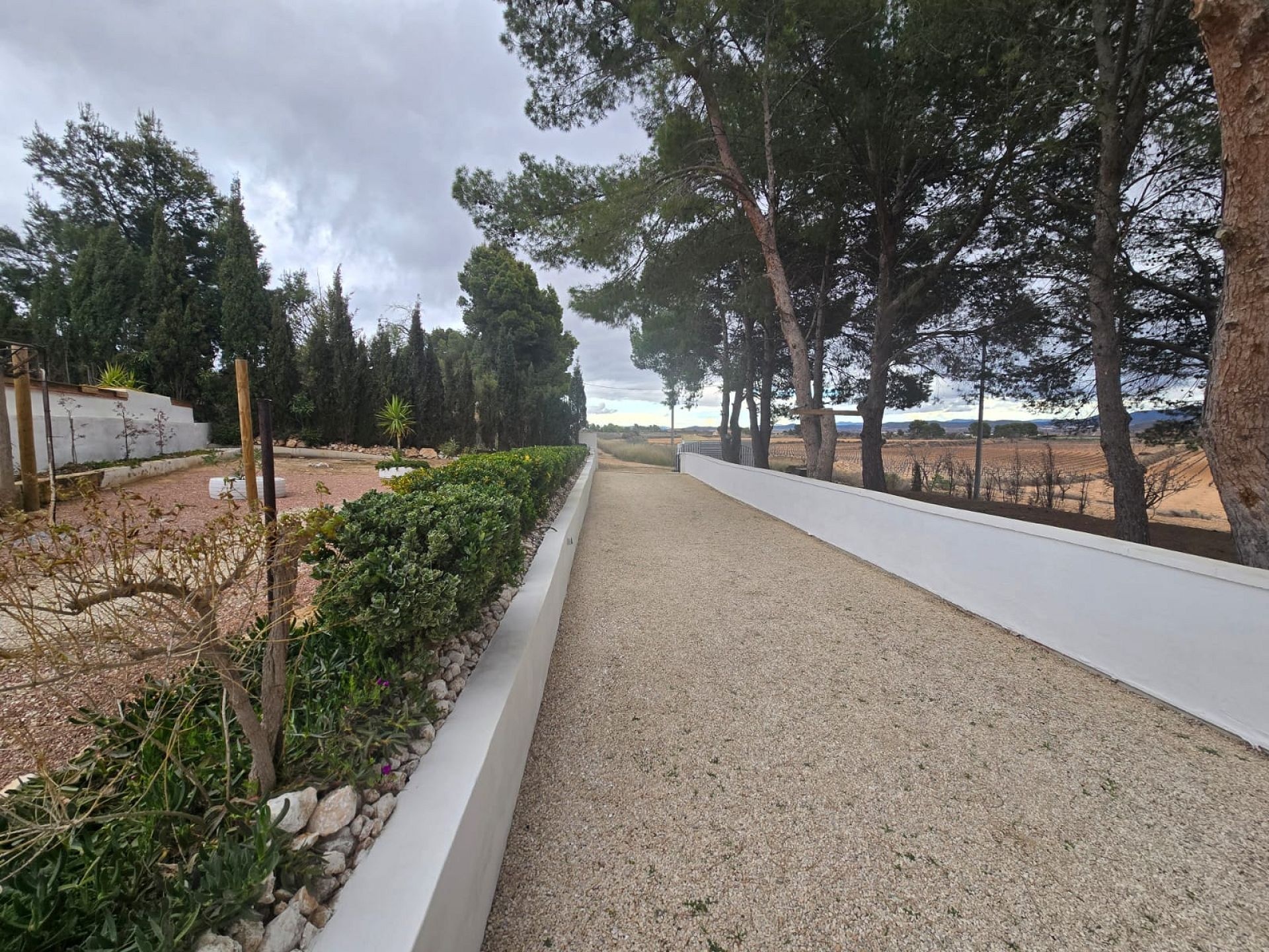 w_whatsapp-image-2026-02-09-at-11.23.11-2-