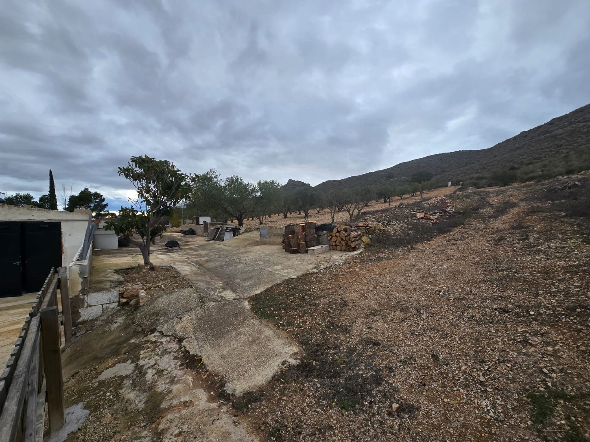 w_whatsapp-image-2026-02-09-at-11.23.12-4-