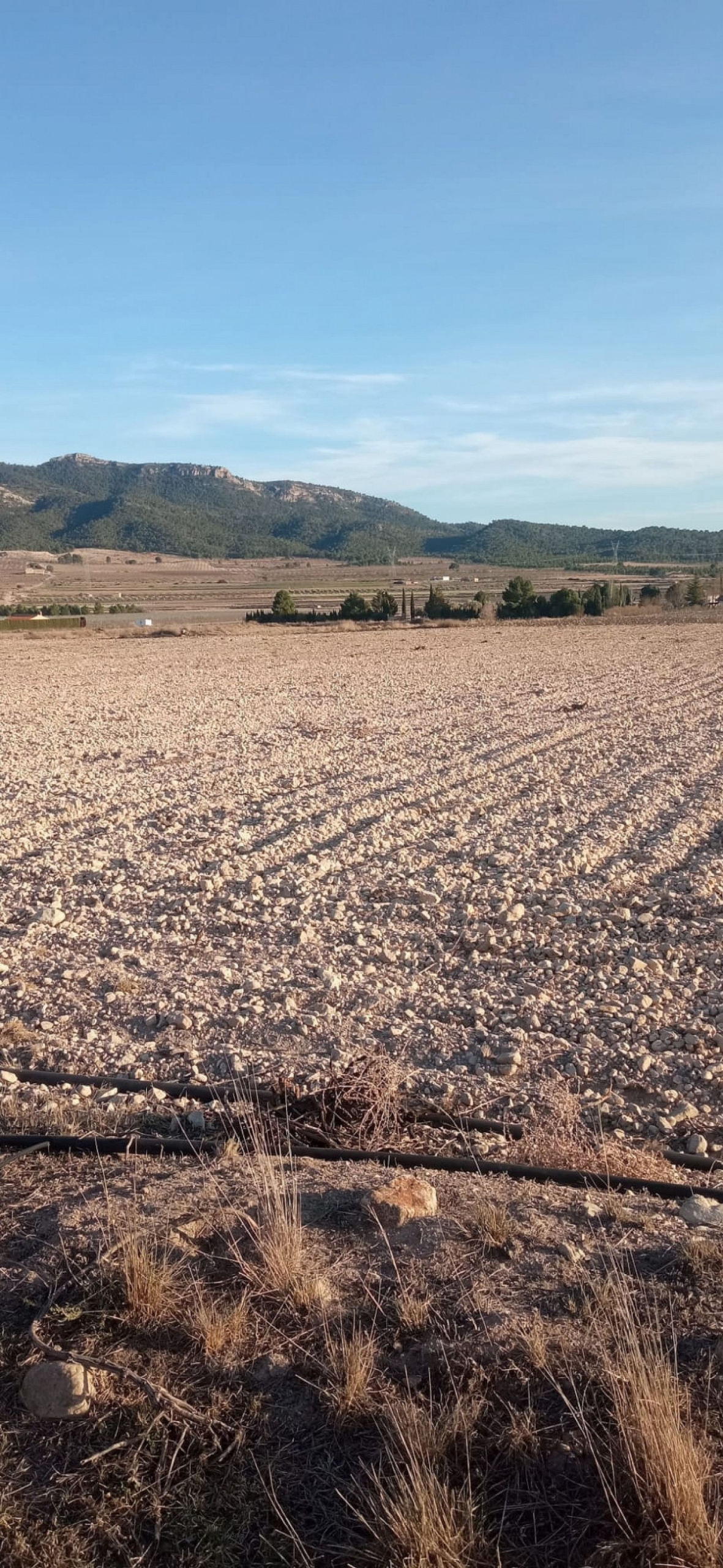 w_wkpvnnqvngi0wbbqfitq