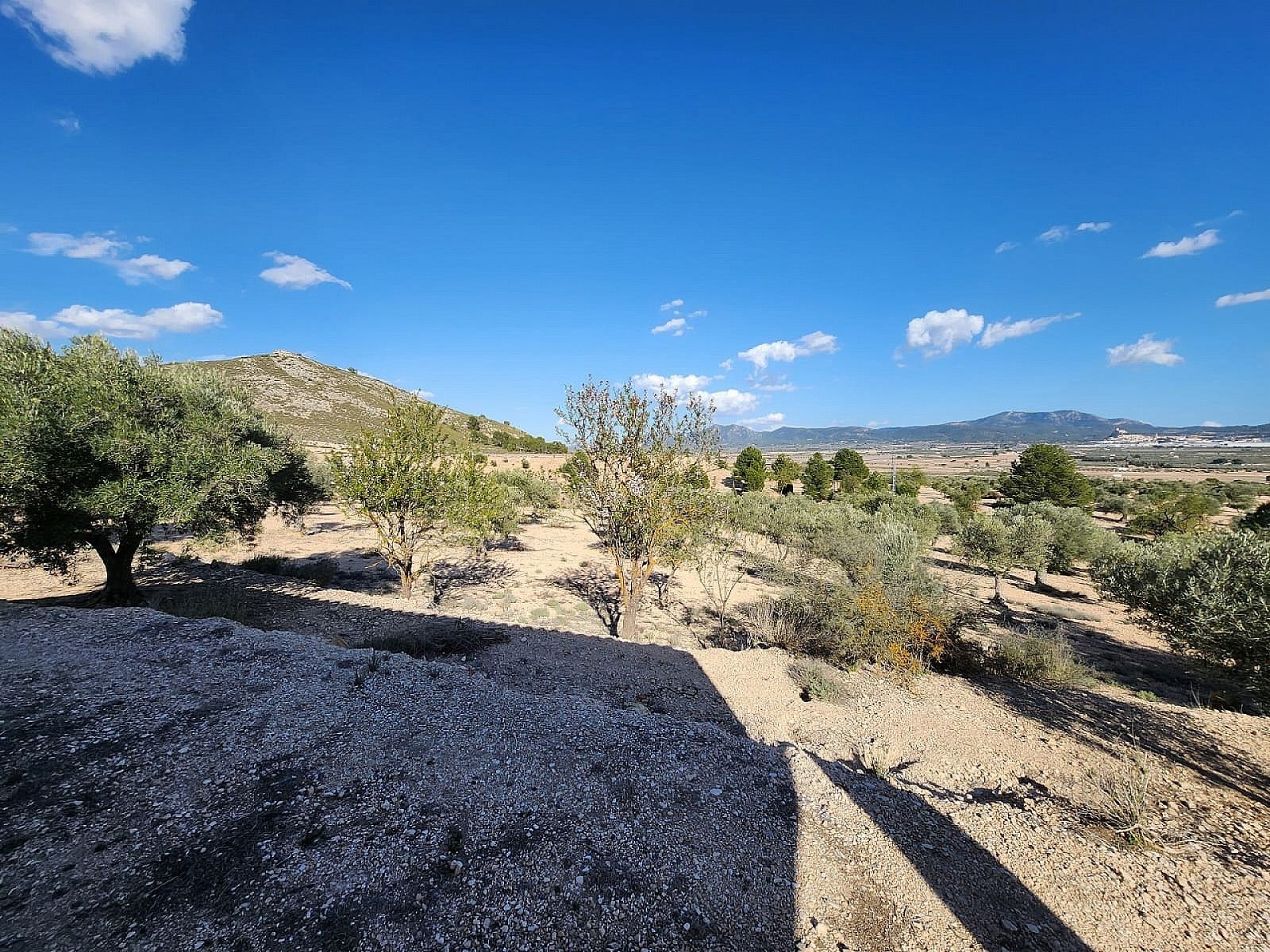 w_wpy8t33f26iw0an40yxz