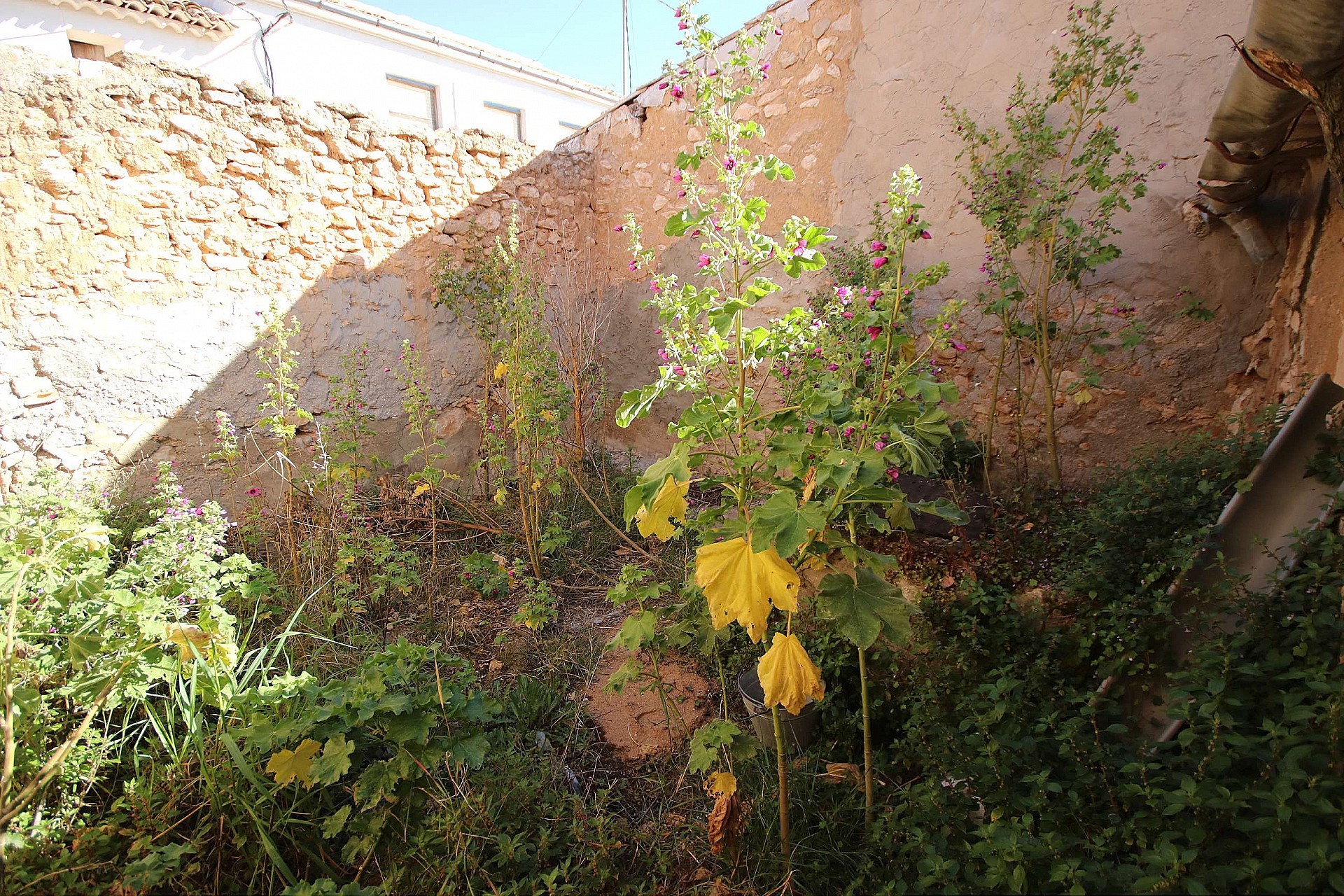 w_wqxt8xdmx5q7anfroczm