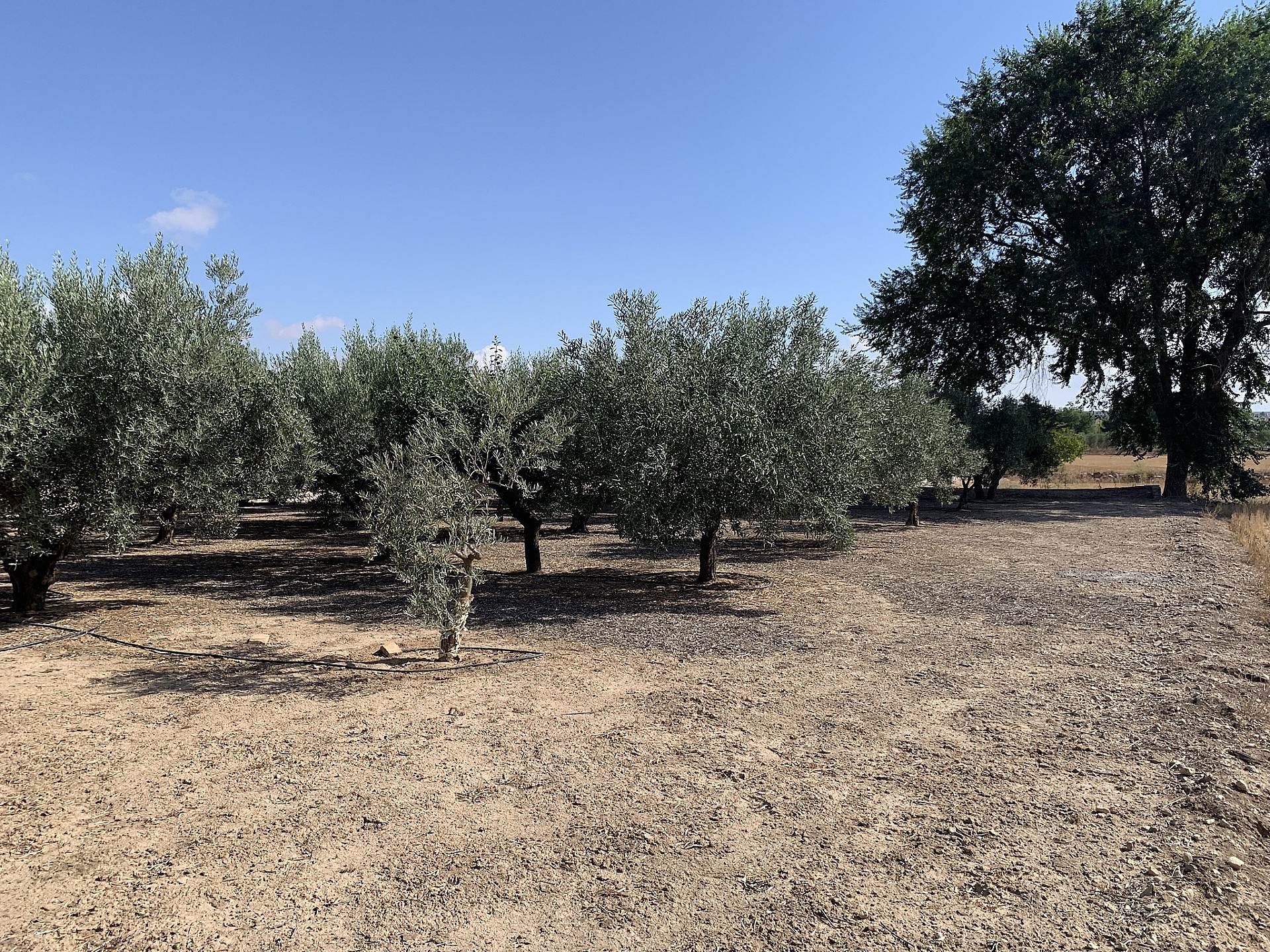 w_x406dedtn05qfbunvdvk