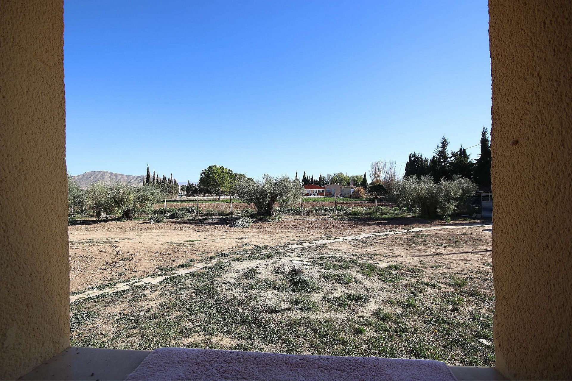 w_x7eh82noipj628ek0gaw