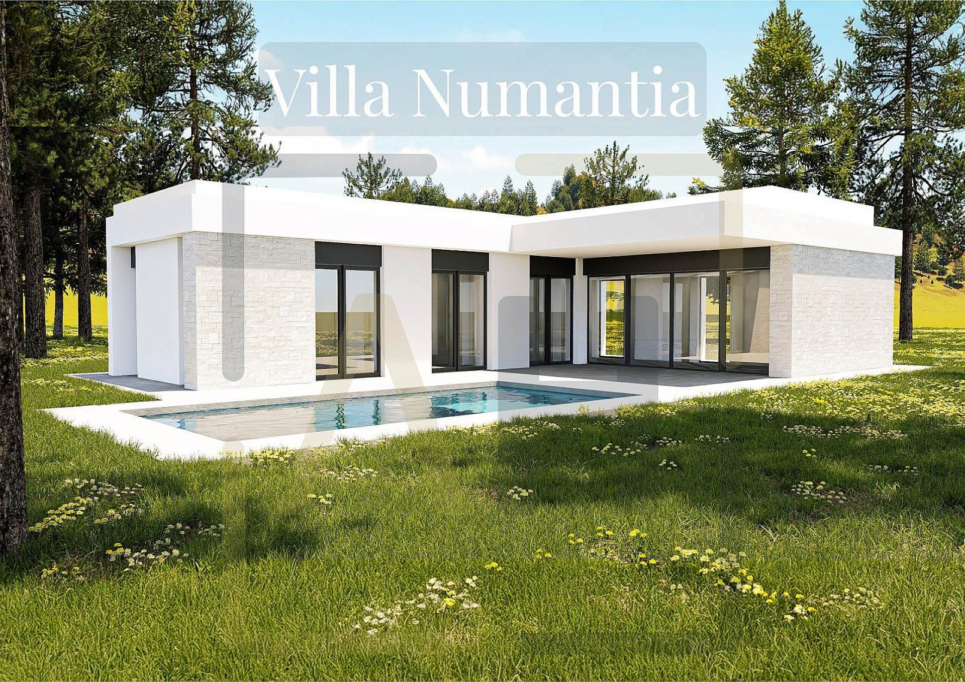 Villa in Pinoso (Alicante) Villa in Pinoso (Alicante)