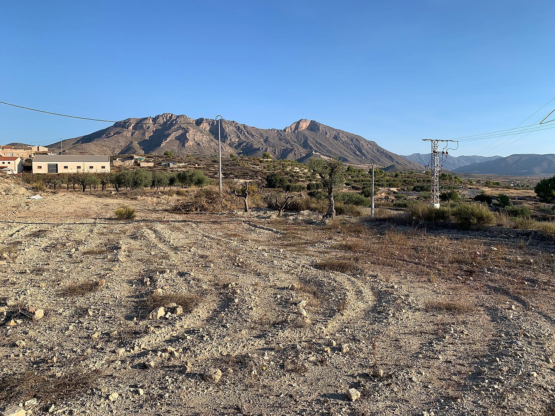 w_xdwtmk48ho4ne72kaimx