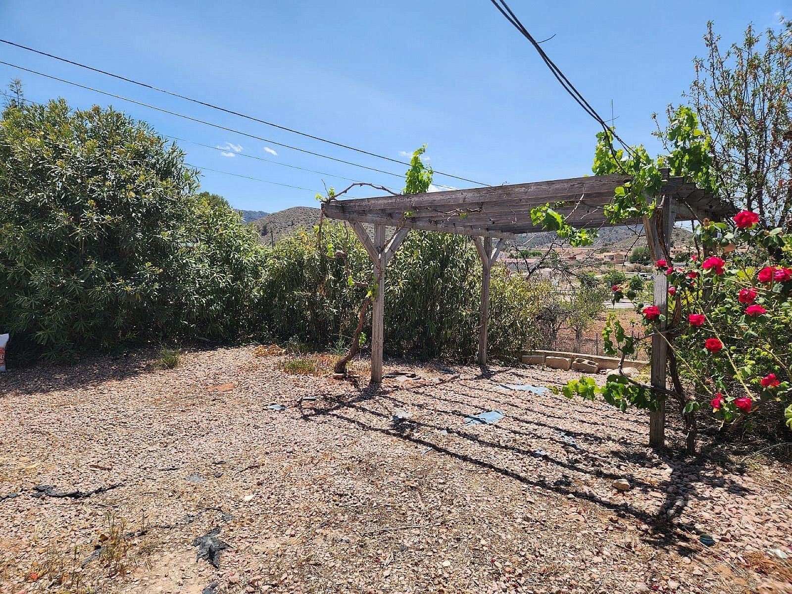 w_xk7pqkoxhhmjuymsip6t