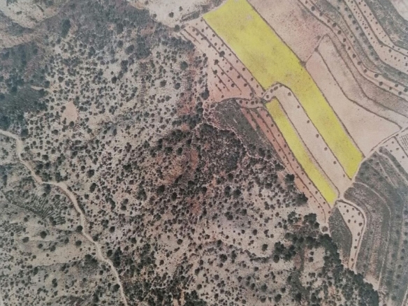 Grundstück in Pinoso (Alicante)