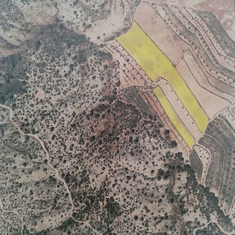 Grundstück in Pinoso (Alicante)