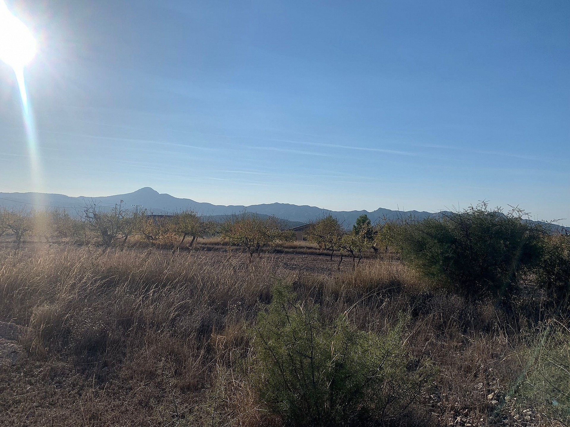 w_yd5xe7msataa5t03isjc