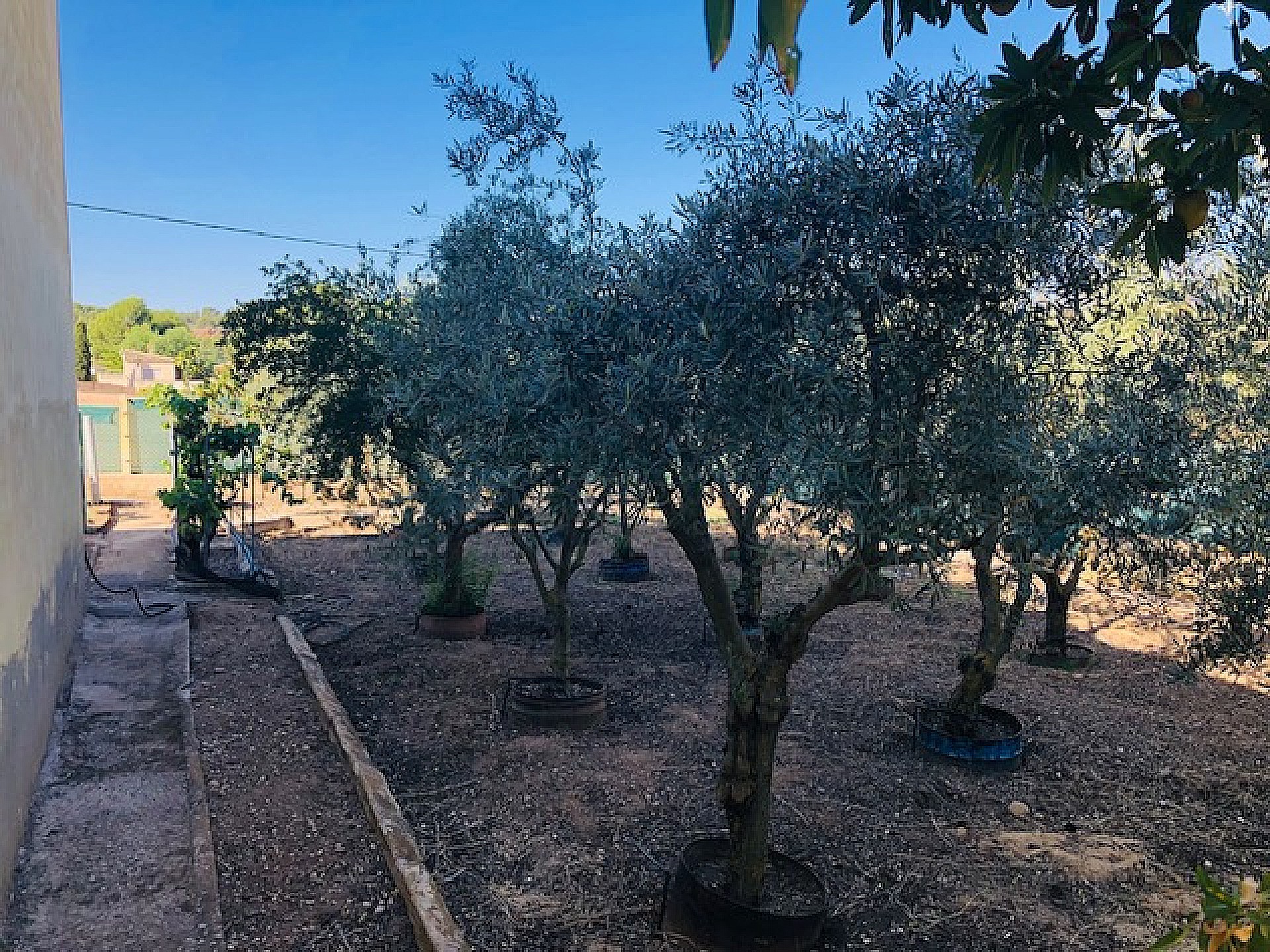 w_ydsjssz3n5n66wu2zvdp