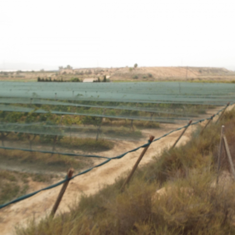 Grundstück in Monforte Del Cid (Alicante)