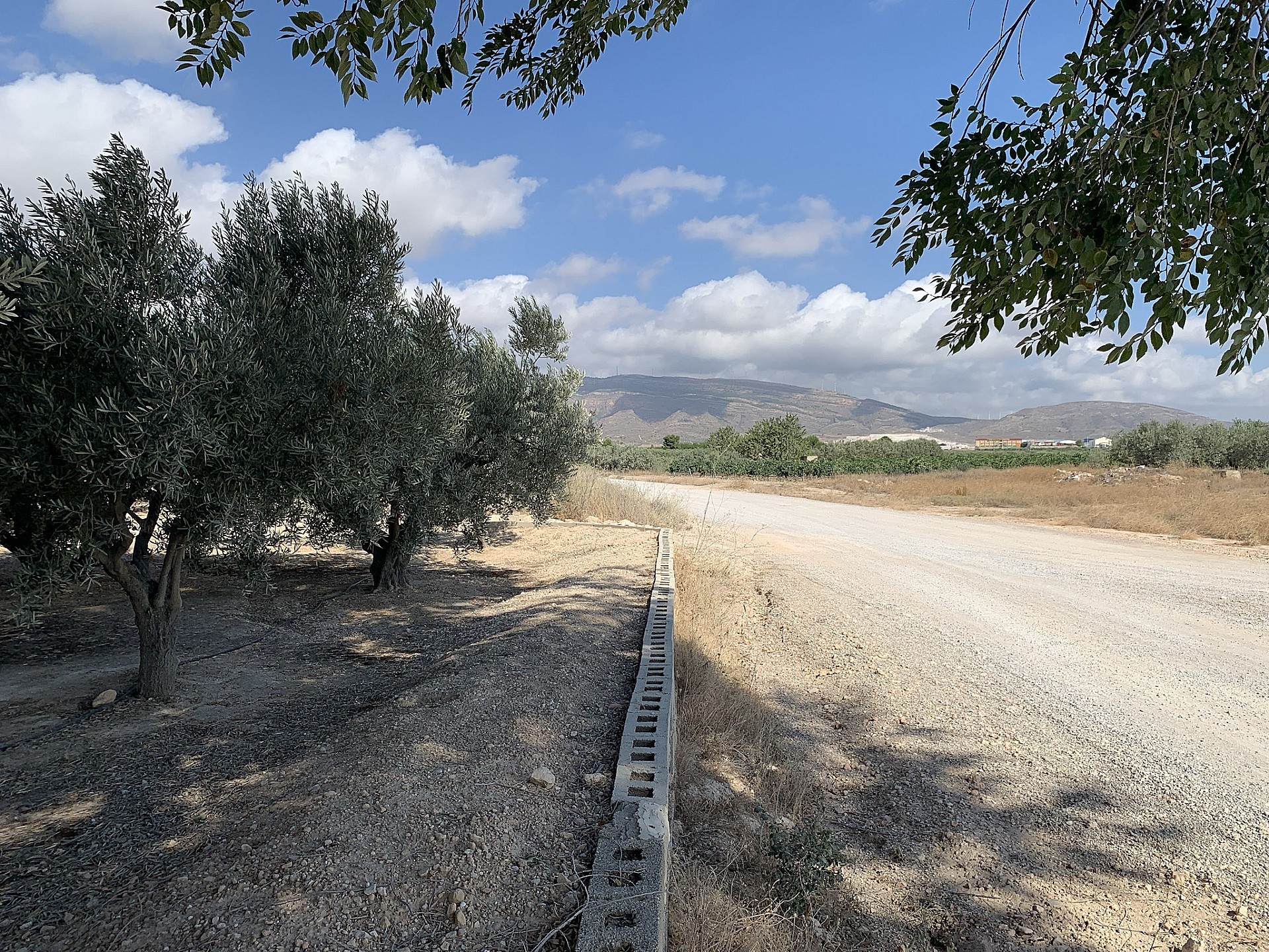 w_yhp2ah2vxs3tvrv4eca2