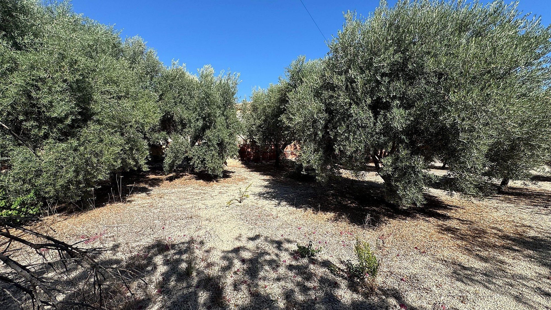 w_yvsgyui0xi5oagk7wizx