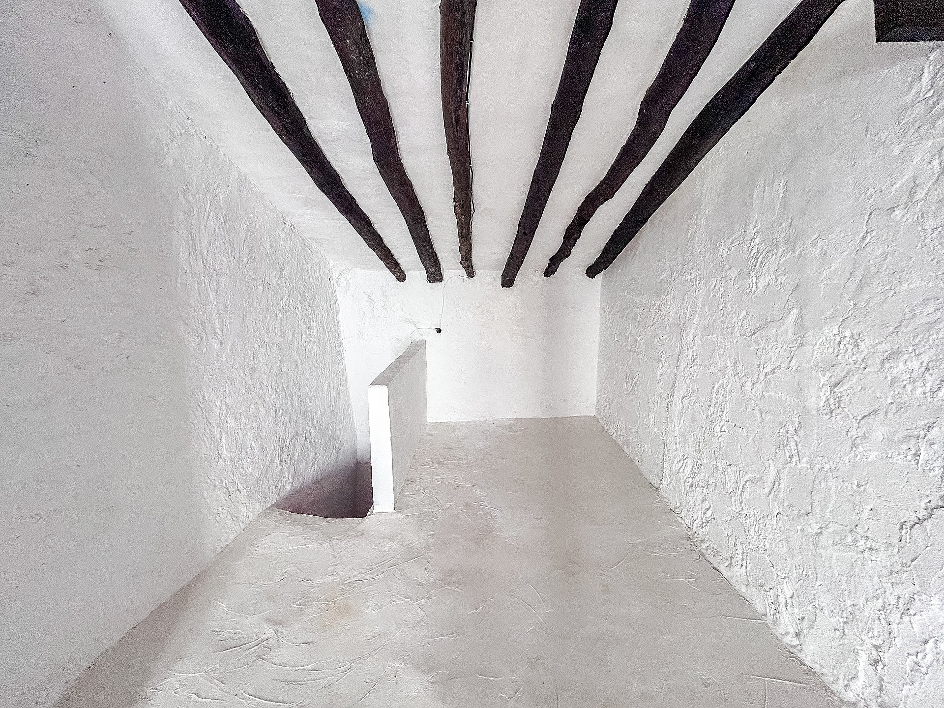 w_z2k3wzrev440ksyvu3ee