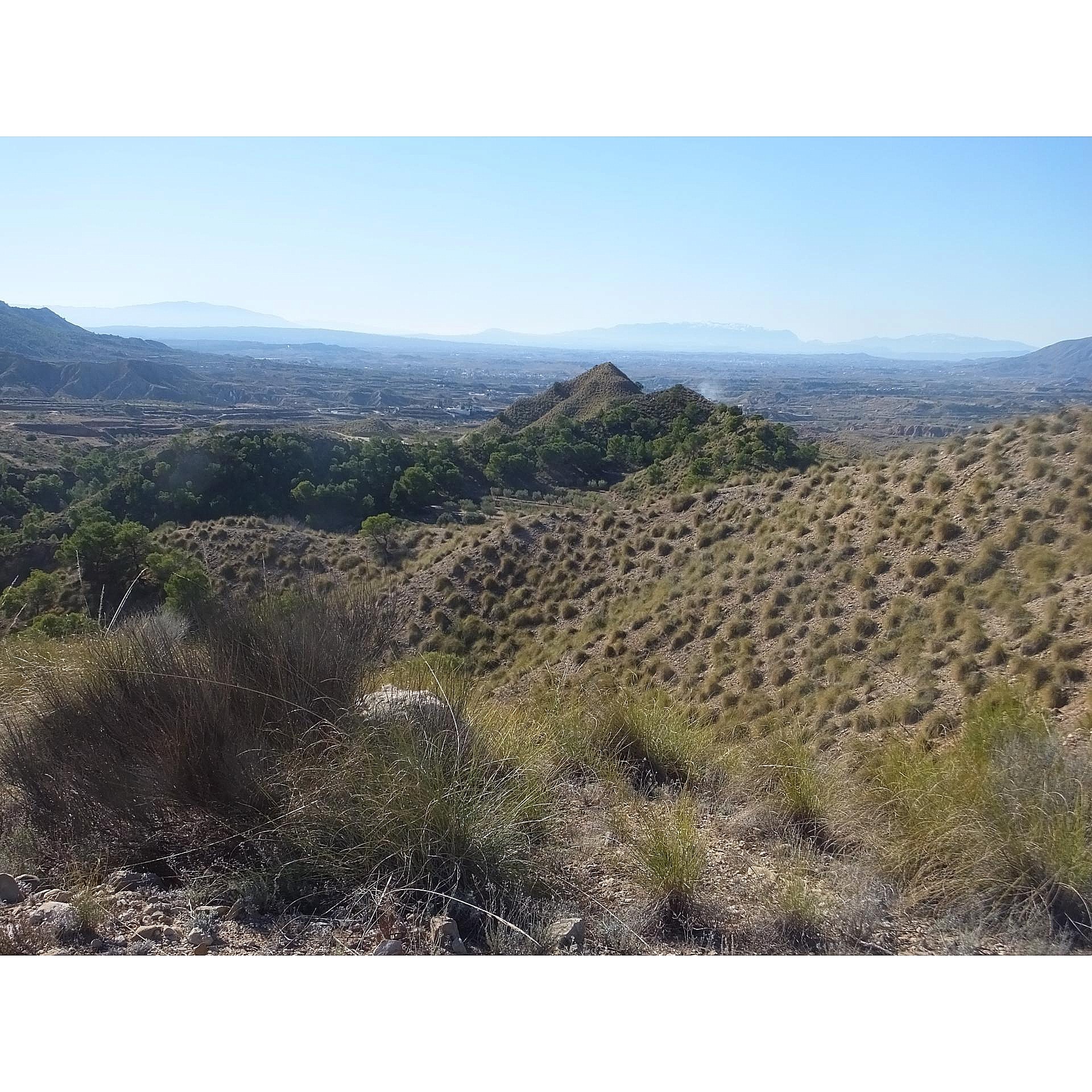 w_zecjwj3qiy7y5qq6od5i