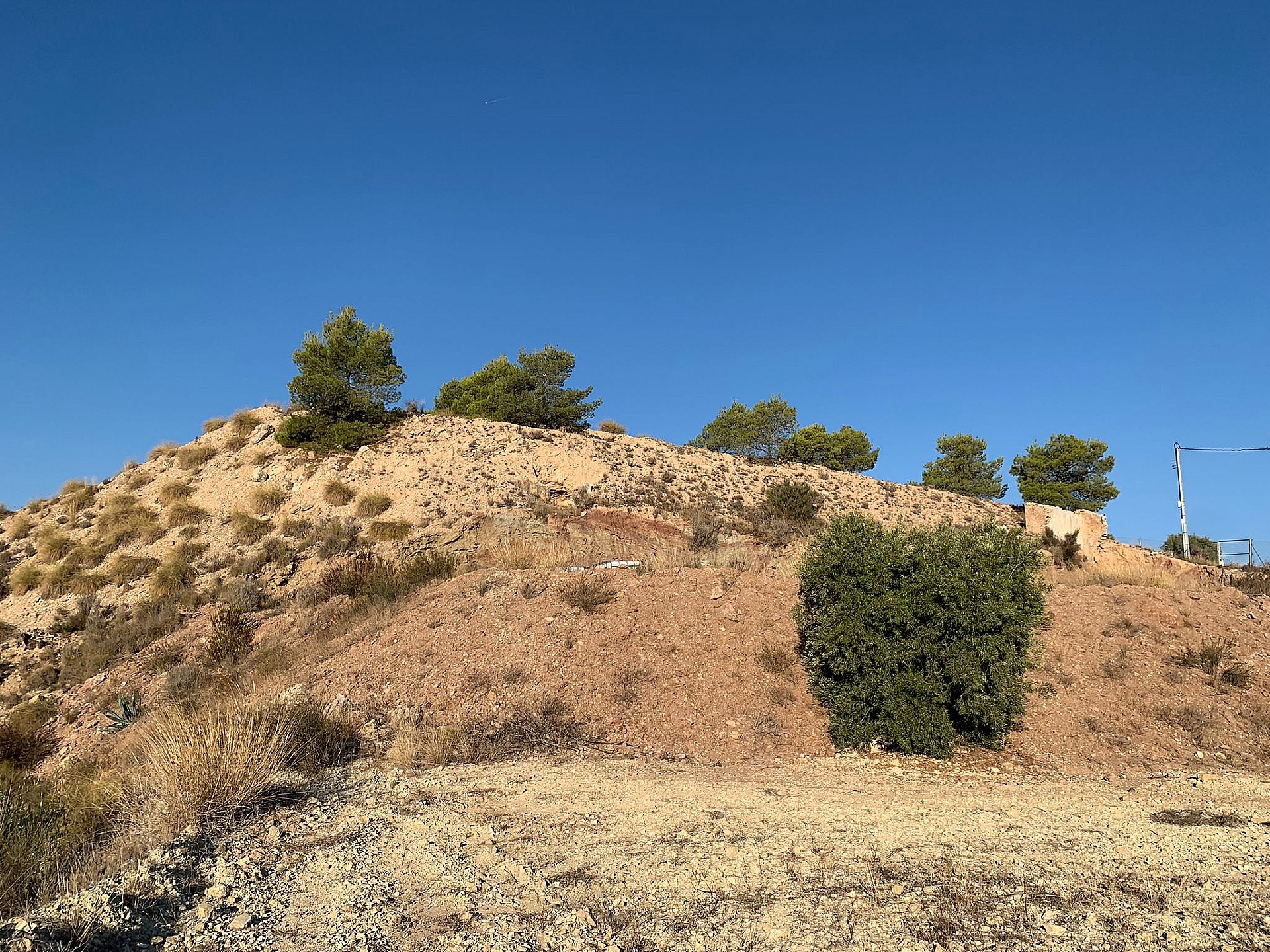 w_zg4ueyoc8qms8kjziqnx