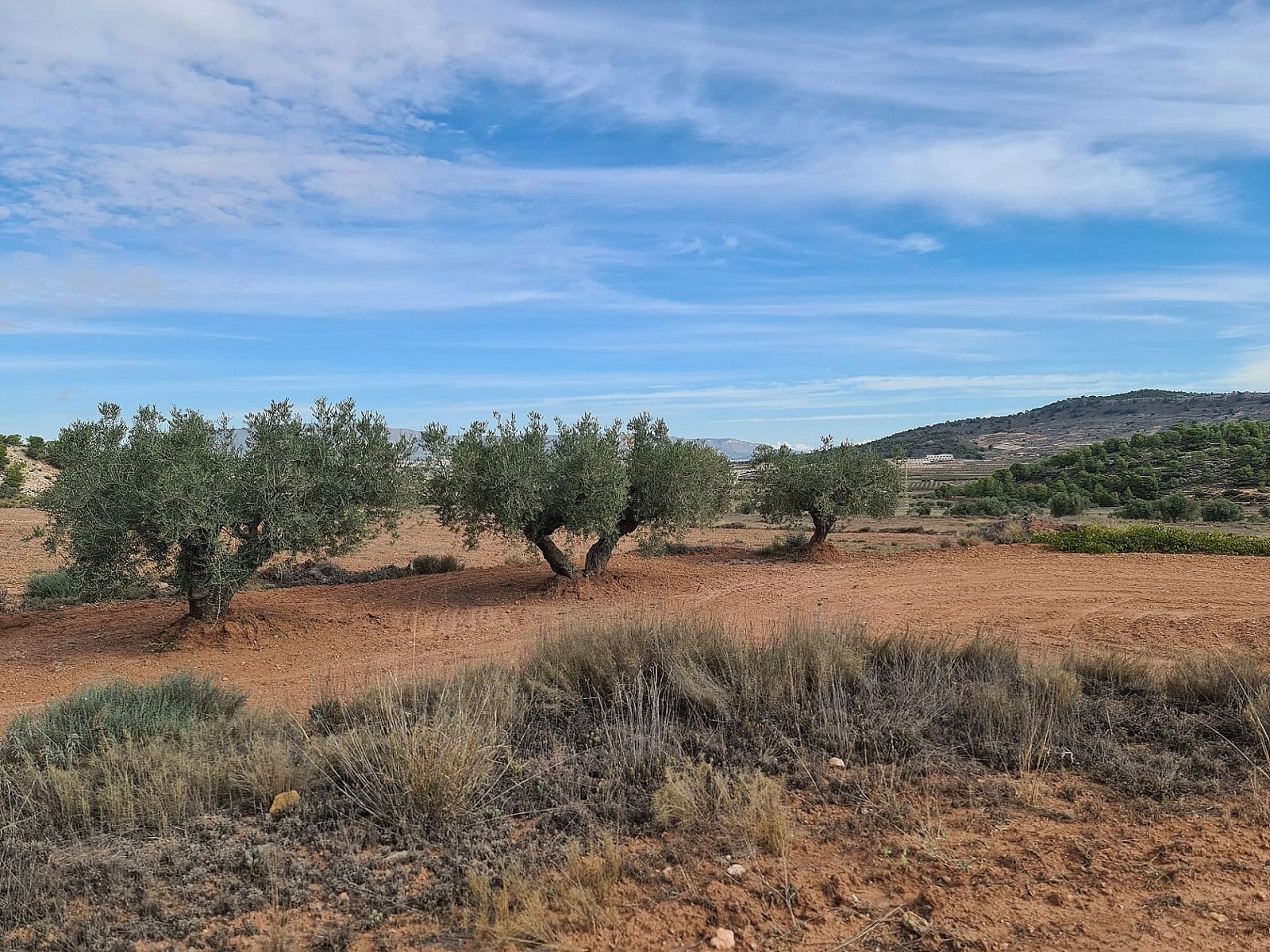 w_zsqtamyjrhc5gs0i3ddc