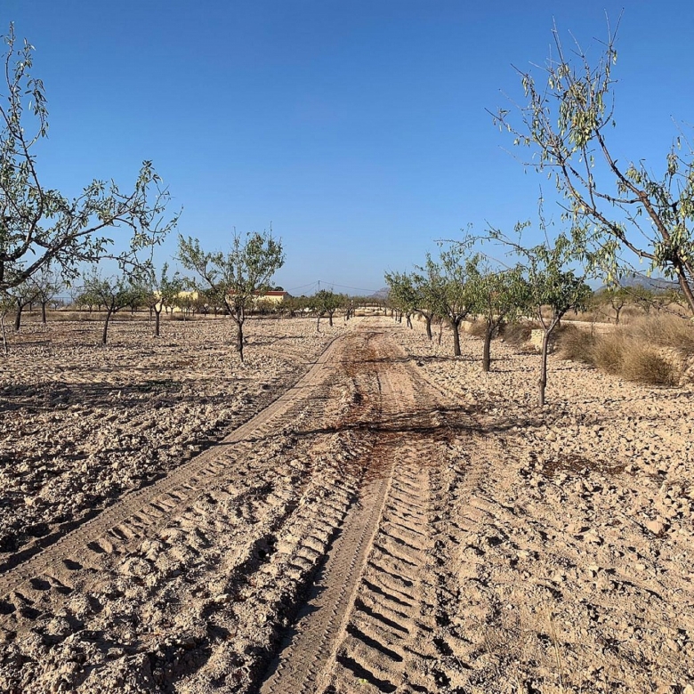 Grundstück in Macisvenda (Murcia)