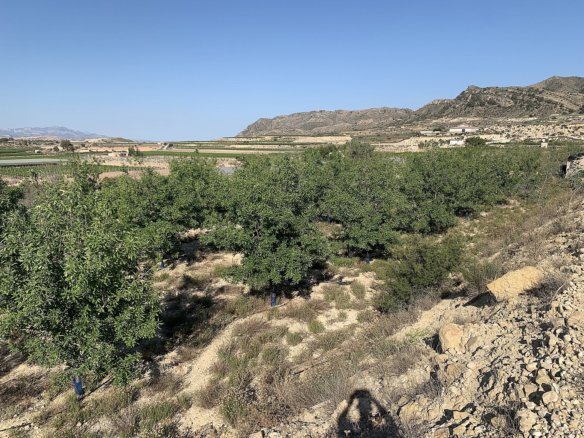 w_zug5cz837vxx0kuffqw3