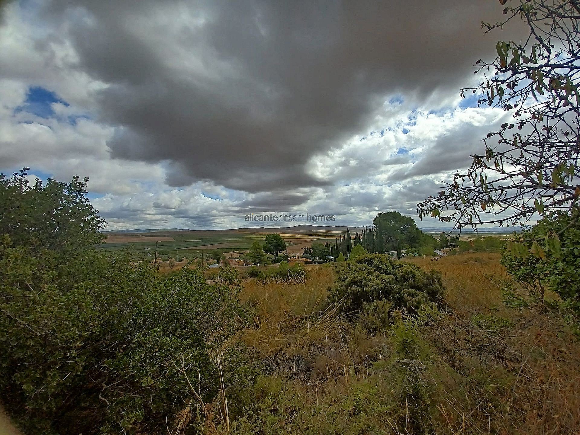 w_zwghjb6guthoihowenz3