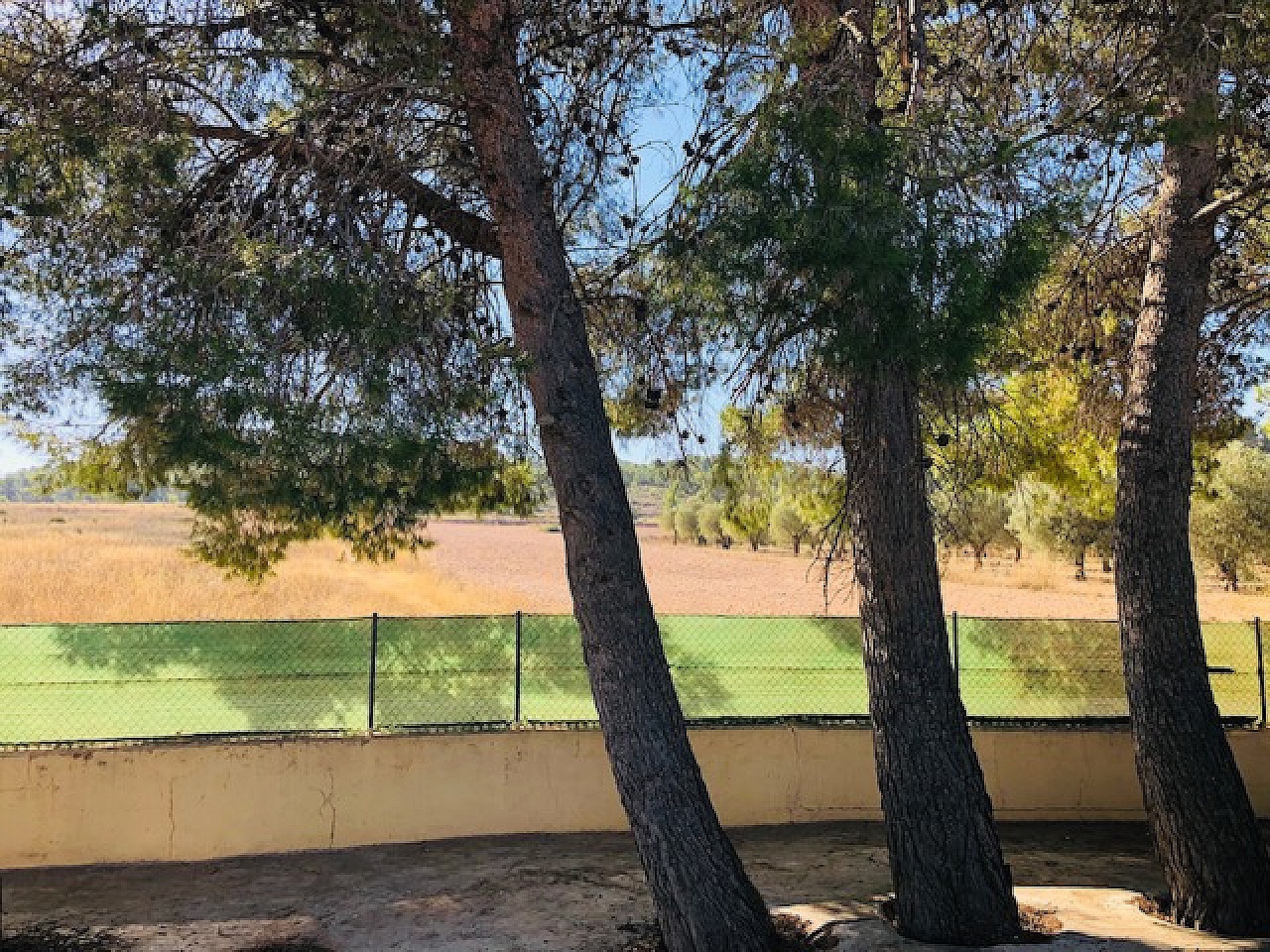 w_zwrcwrf3dhnfmfsf00ov