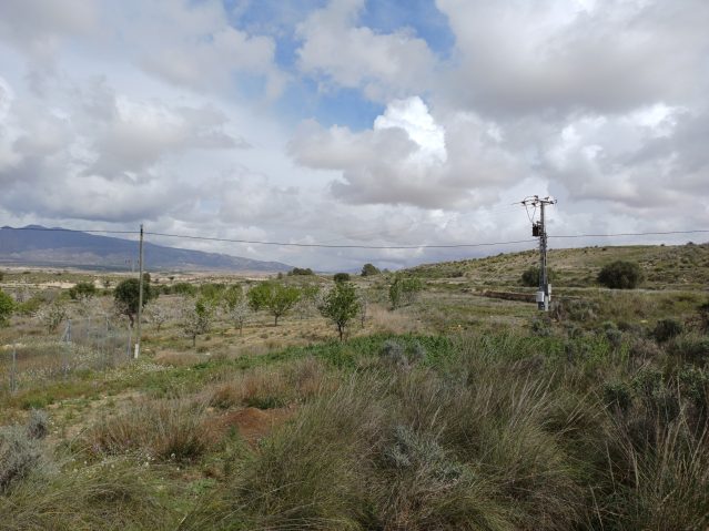 20260306_124542-639×479