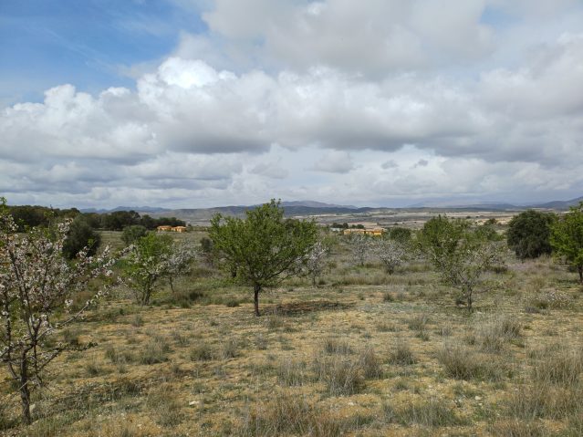 20260306_124646-639×479