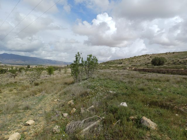 20260306_124652-639×479