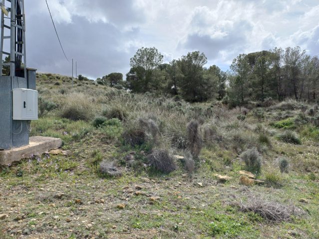 20260306_124706-639×479