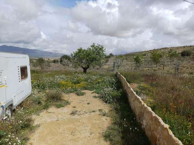 20260306_124935-639×479