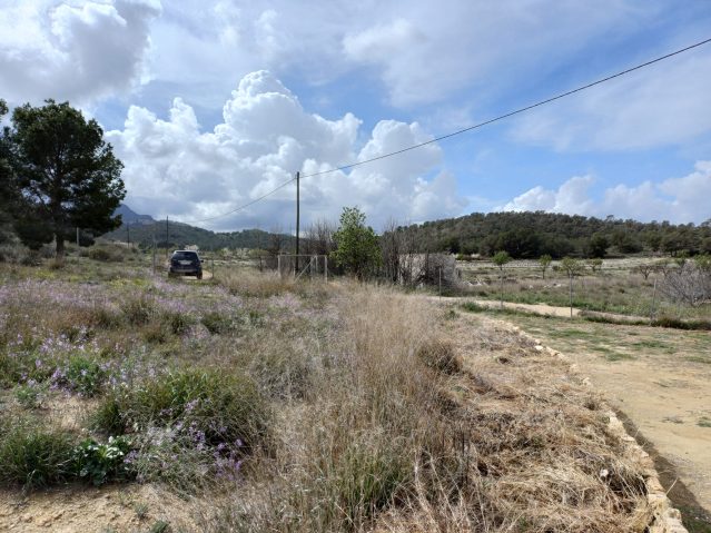 20260306_124945-639×479