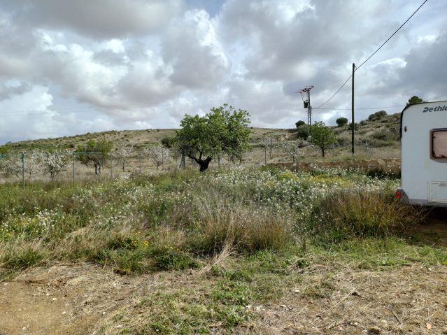 20260306_125009-639×479