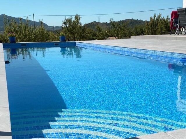 Aliso-13-logo-1080-corregida-1-639×479