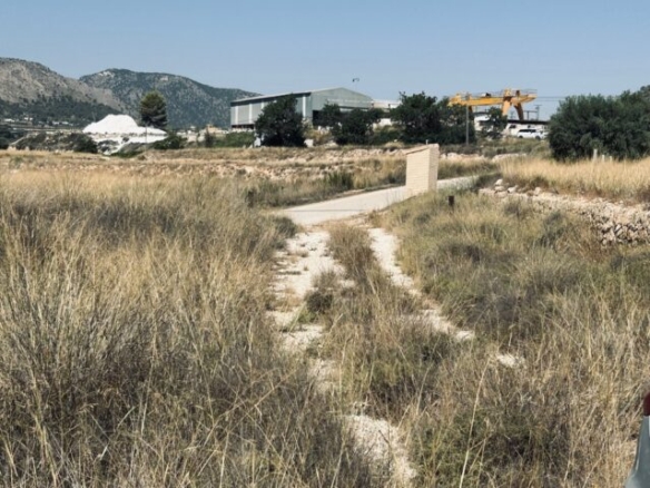 Grundstück in La Romana (Alicante)