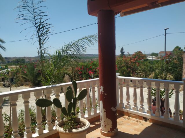 IMG_20220713_133858-639×479