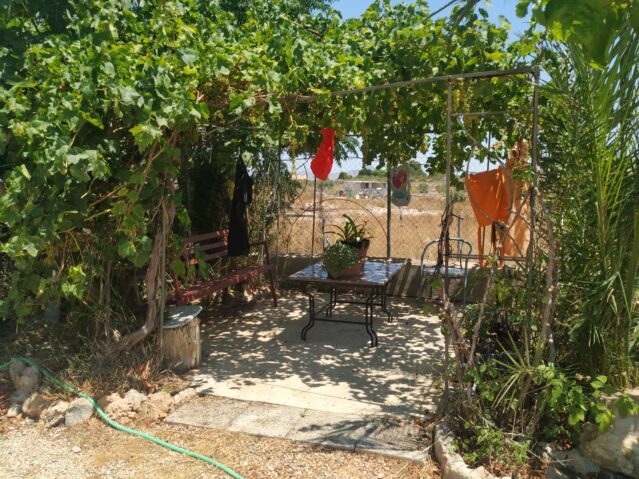 IMG_20220713_133941-639×479