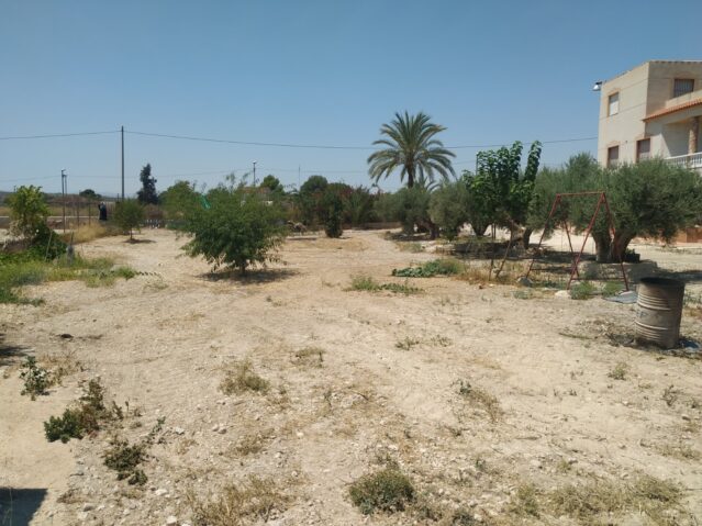 IMG_20220713_134003-639×479