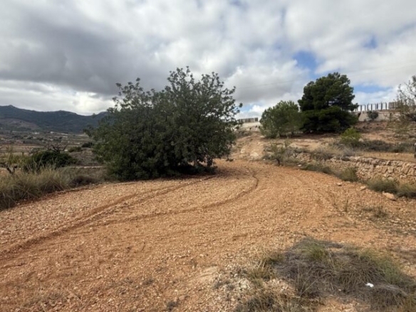 Grundstück in La Romana (Alicante)
