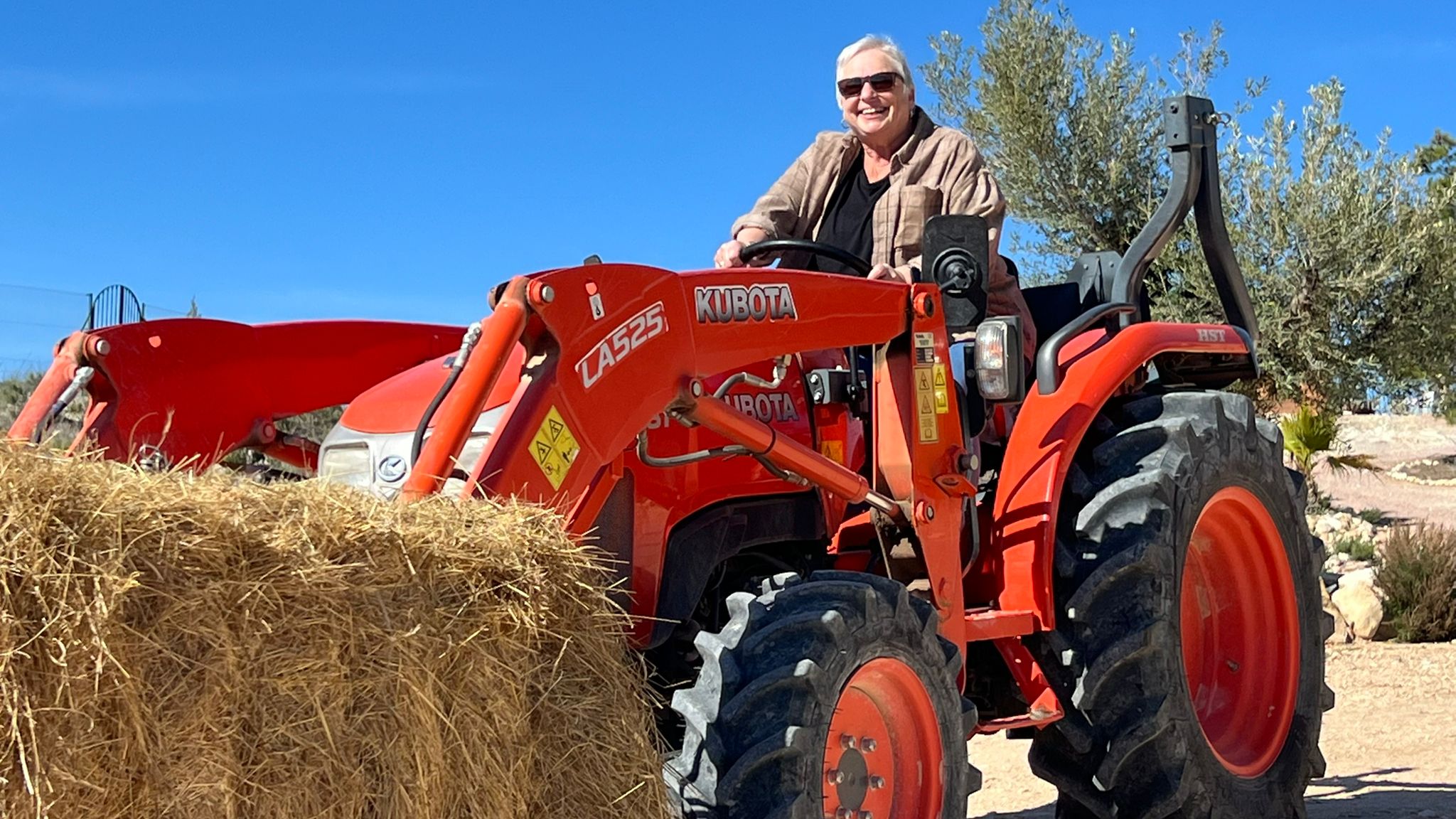 Pferd in Spanien halten