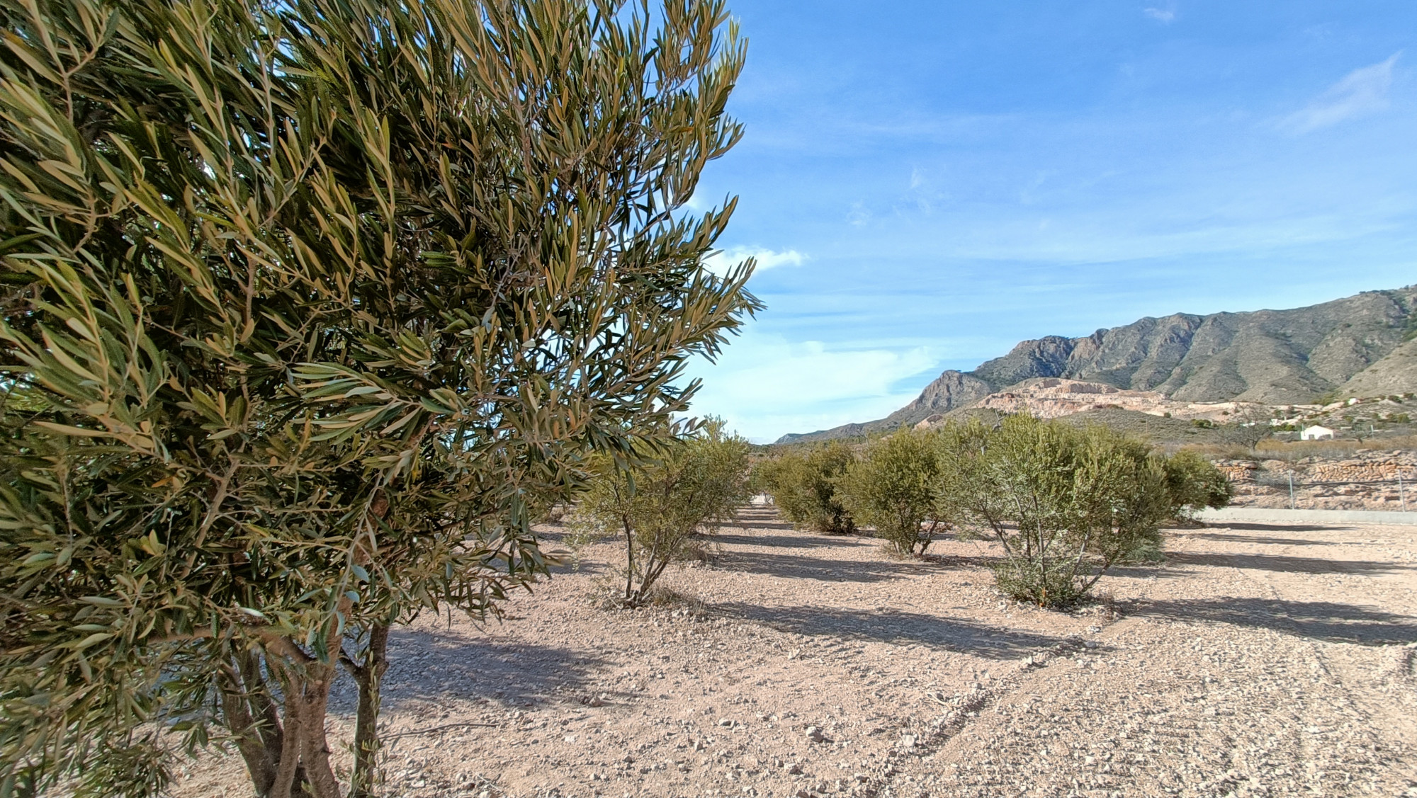 d6746f0bb700cf6746f0bb7010e