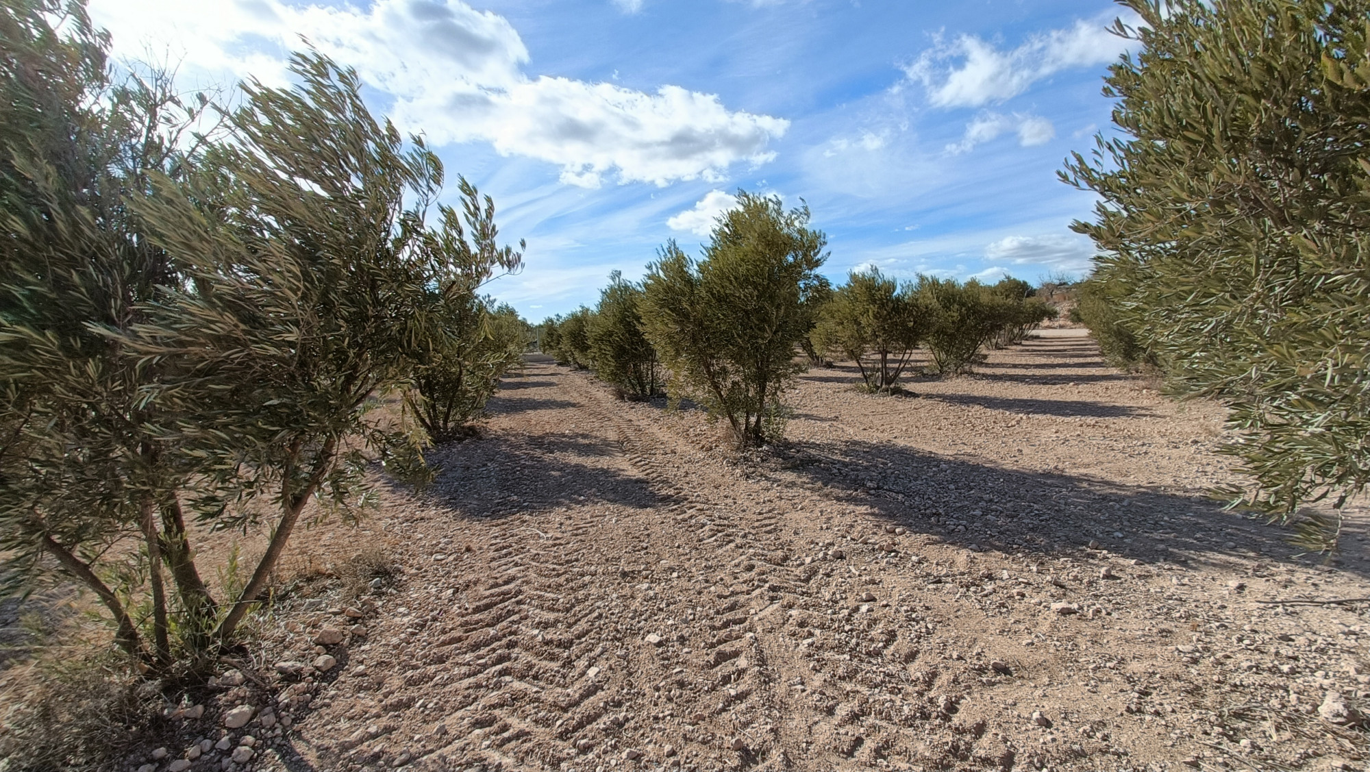 d6746f0bc6294e6746f0bc6298b