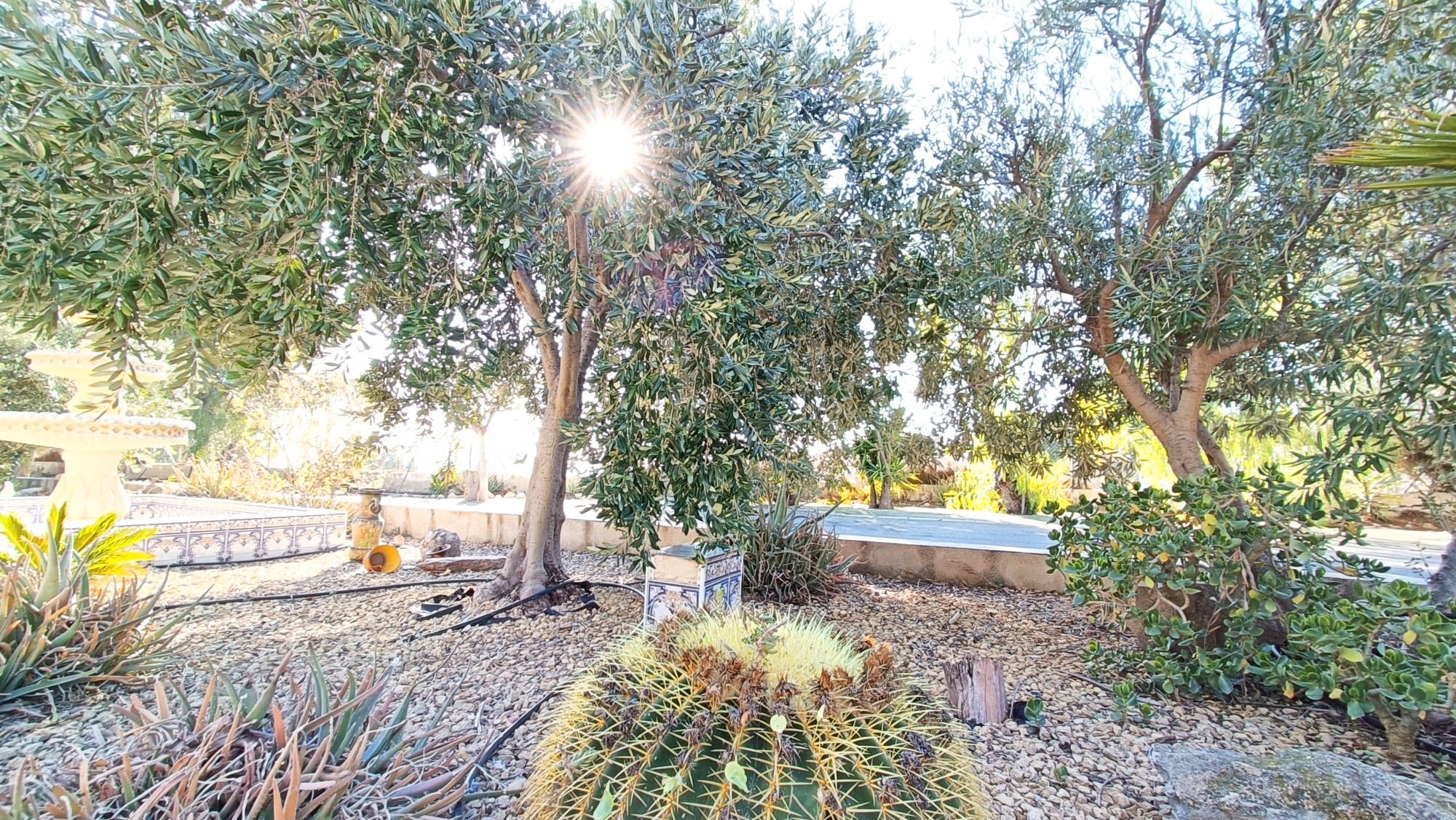 d68d2a4351101e68d2a4351106a